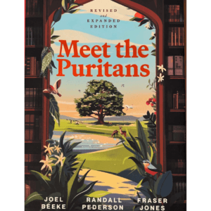 Meet the puritans